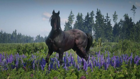 荒野大镖客2什么马最好