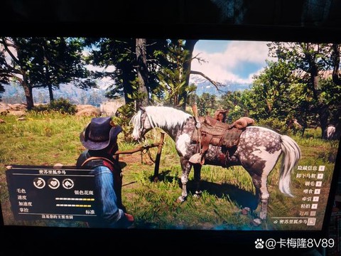 荒野大镖客2什么马最好[图2]