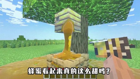 我的世界蜂蜜怎么得[图1]