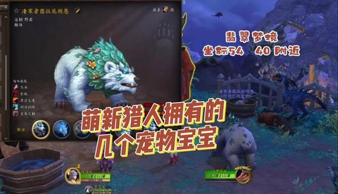 魔兽世界猎人什么宠物好[图1]