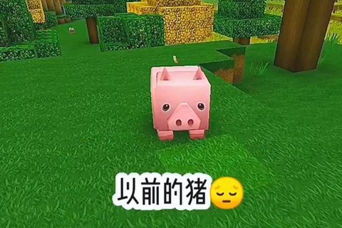 迷你世界怎么引诱猪
