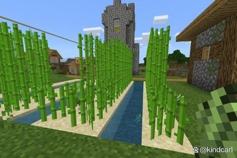 我的世界如何种甘蔗[图1]