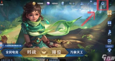 王者荣耀资料怎么隐藏