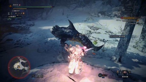 怪物猎人如何捕获怪物