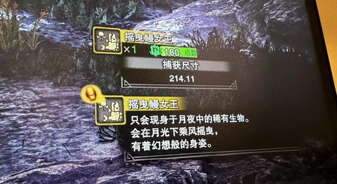 怪物猎人如何捕获怪物[图1]