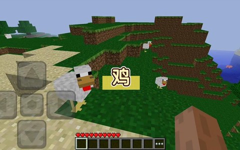 我的世界小鸡怎么长大