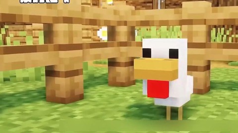 我的世界小鸡怎么长大[图1]