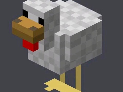 我的世界小鸡怎么长大[图2]