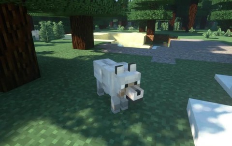 我的世界怎么训话狼