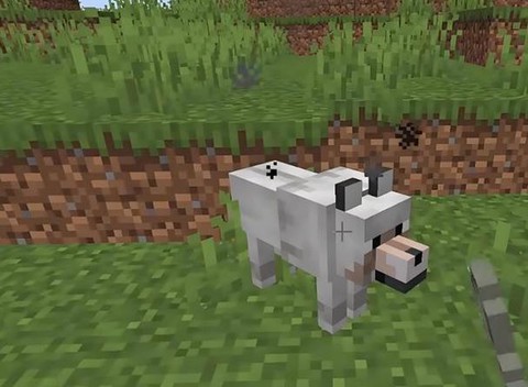 我的世界怎么训话狼[图1]