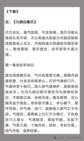 九阴真经青竹枝怎么得