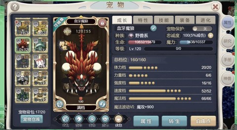 魔力宝贝配什么坐骑