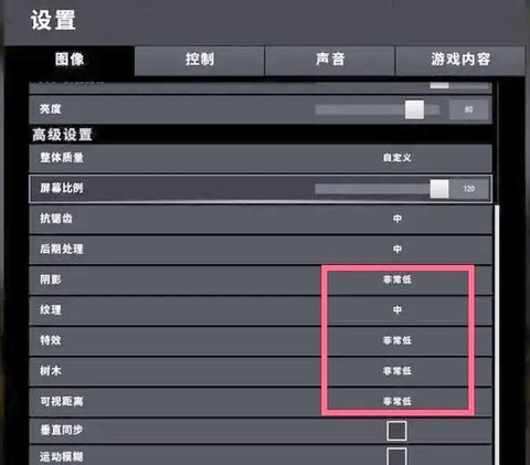 绝地求生怎么开特效[图2]