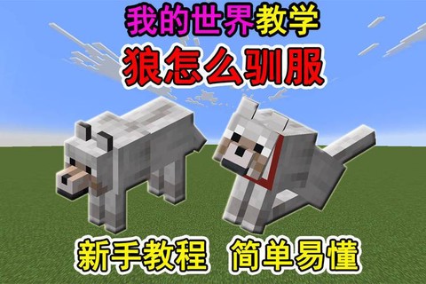 我的世界如何驯服动物