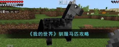 我的世界如何驯服动物[图2]